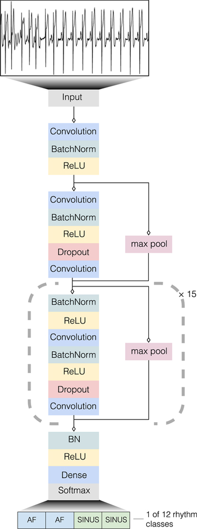 Extended Data Fig 1: