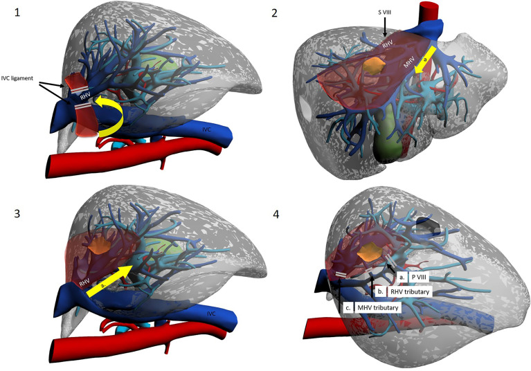 Figure 6