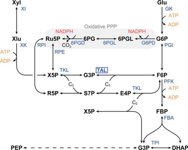 Figure 1.