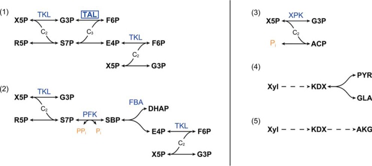 Figure 2.