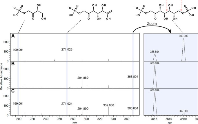 Figure 3.