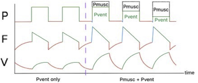 Fig. 5