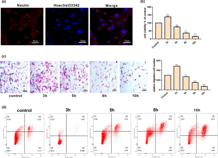 FIGURE 3