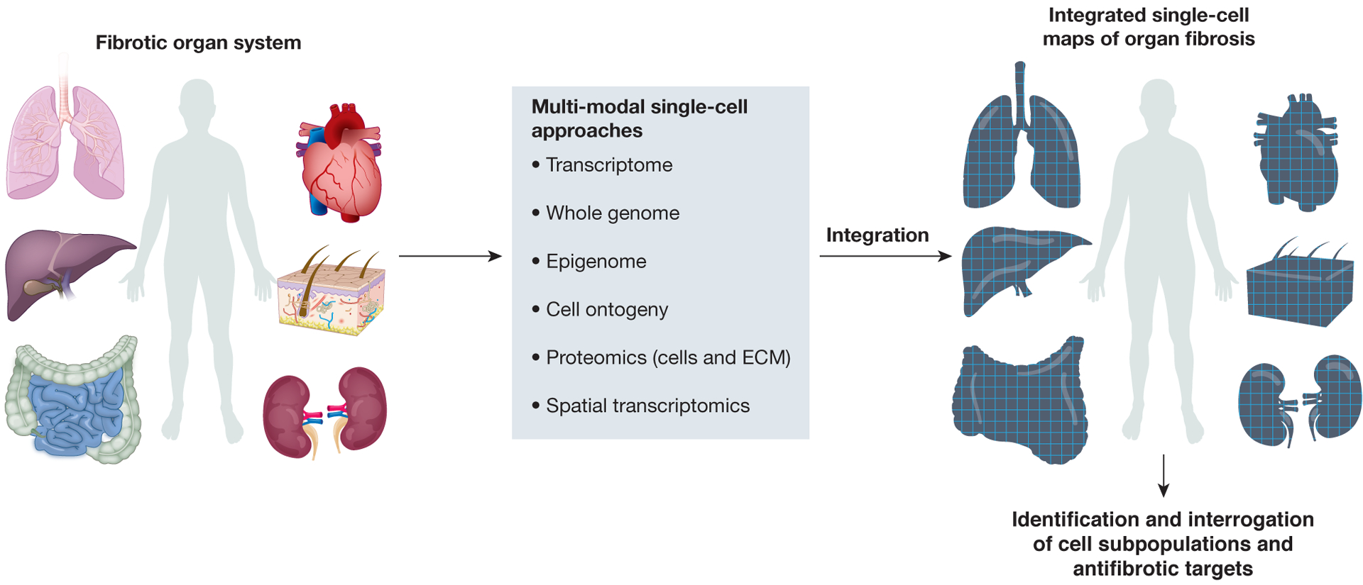 Figure 1: