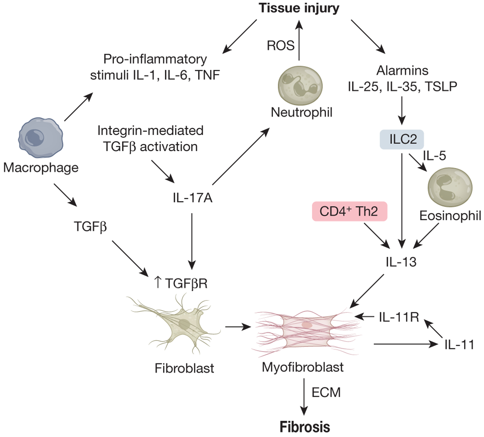 Figure 4: