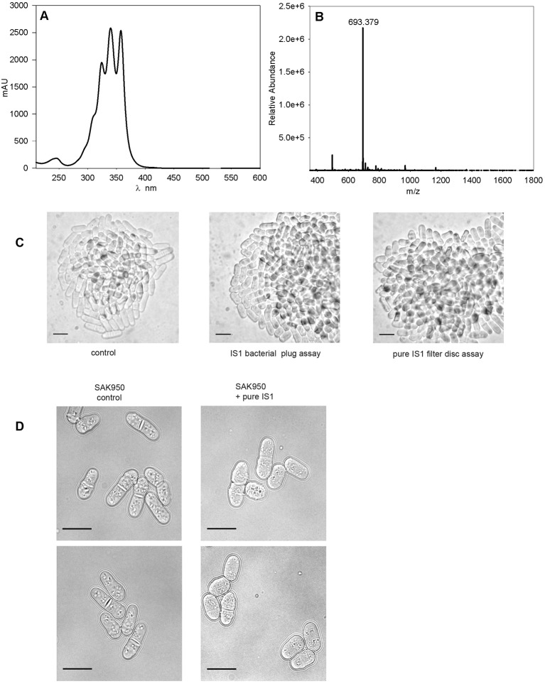 Fig. 8.