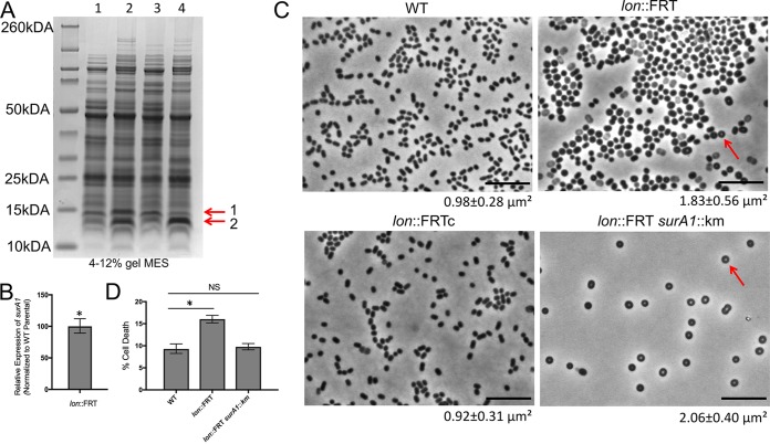 FIG 4