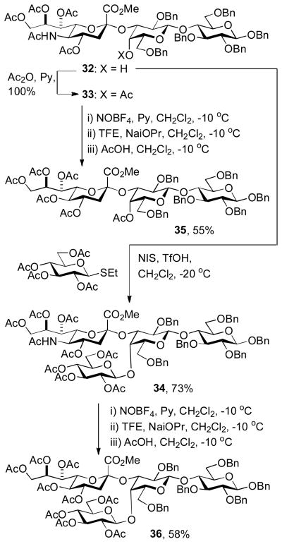 Scheme 3