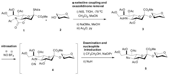 Scheme 1