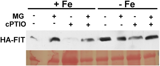 Figure 6.