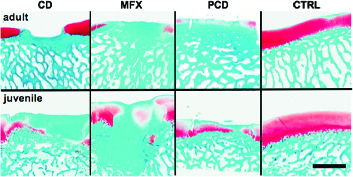 FIG. 6.