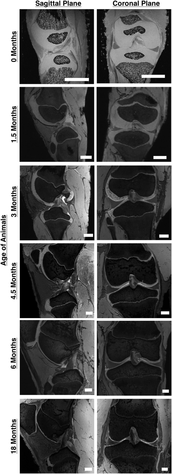 FIG. 7.