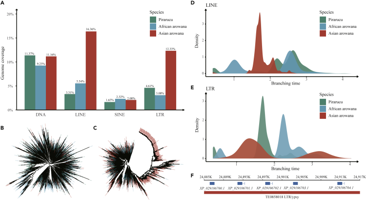 Figure 3