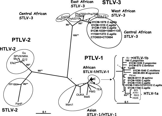 FIG. 2.