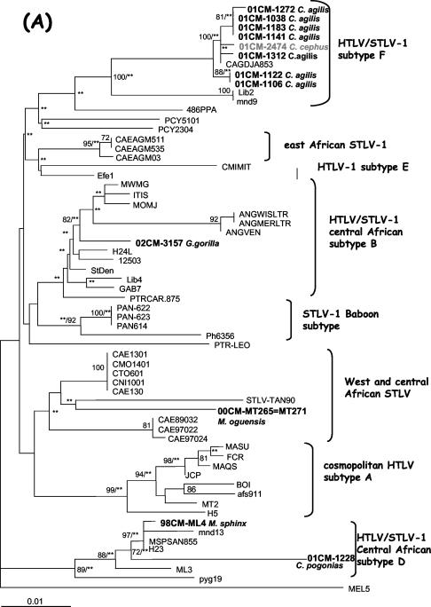 FIG. 3.