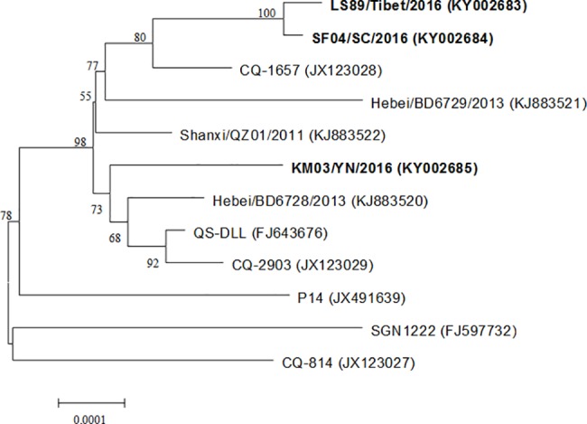 Fig 3