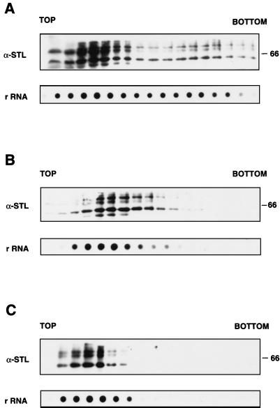 FIG. 8