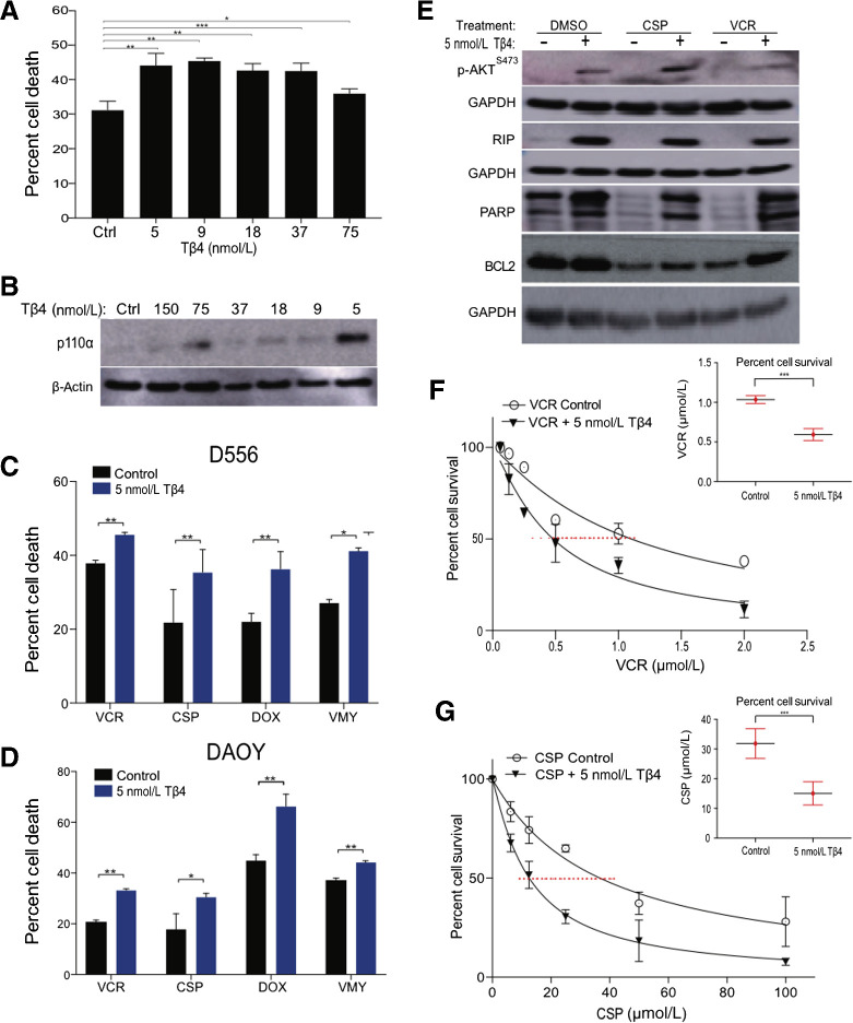 Figure 6. Tβ4 enhanced chemosensitivity in medulloblastoma cells. A, Dose–response survival curves as assessed by trypan blue (average ± SD of N = 3 separate experiments) of D556 cells treated with doxorubicin (DOX, 4.5 μmol/L) and Tβ4 at concentrations shown. B, Immunoblots of p110α levels and β-actin in the cells from A. Cell survival of D556 (C) and DAOY (D) in response to the VMY (30 μmol/L), doxorubicin (4.5 μmol/L), vincristine (0.5 μmol/L), and cisplatin (12.5 μmol/L) in presence or absence of 5 nmol/L Tβ4 as measured by trypan blue. E, Immunoblots of p-AKTS437 and RIP levels in D556 cells treated as shown. EC50 dose–response experiments performed on D556 cells treated with vincristine (F) and cisplatin (G) in presence or absence of Tβ4. Insets; EC50 values of D556 cells treated as shown. Data are mean ± SD of three independent experiments. P: *, <0.05; **, <0.01; ***, <0.001.