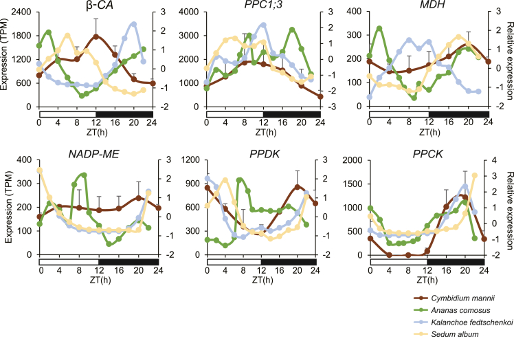 Figure 6