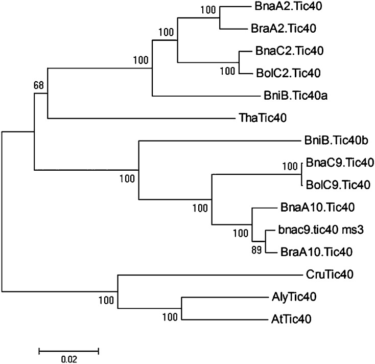 Figure 3.