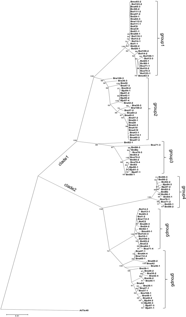 Figure 7.