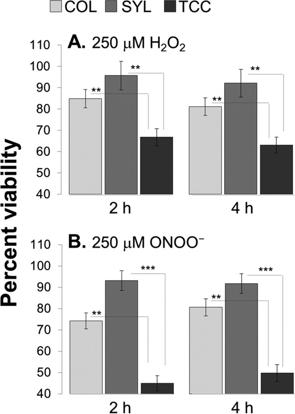 FIG 6