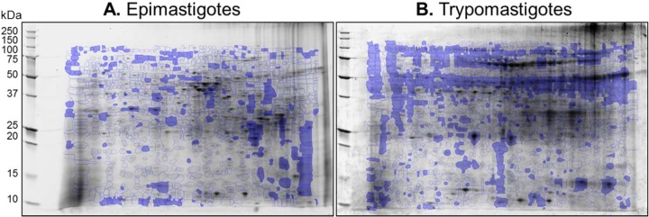 FIG 3