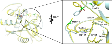 FIGURE 5.