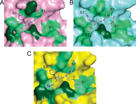 FIGURE 4.