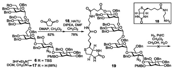 Scheme 2