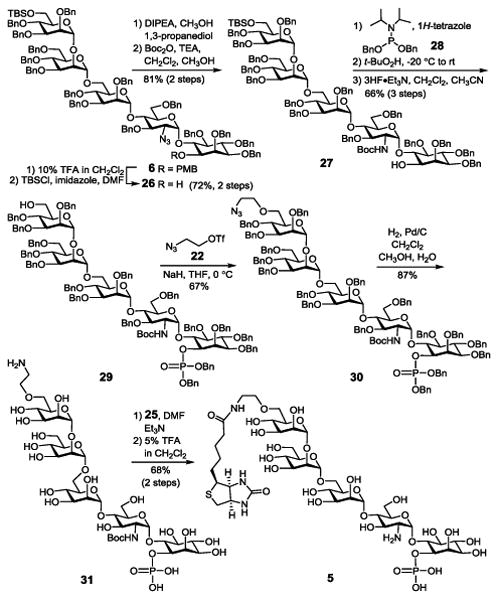 Scheme 4