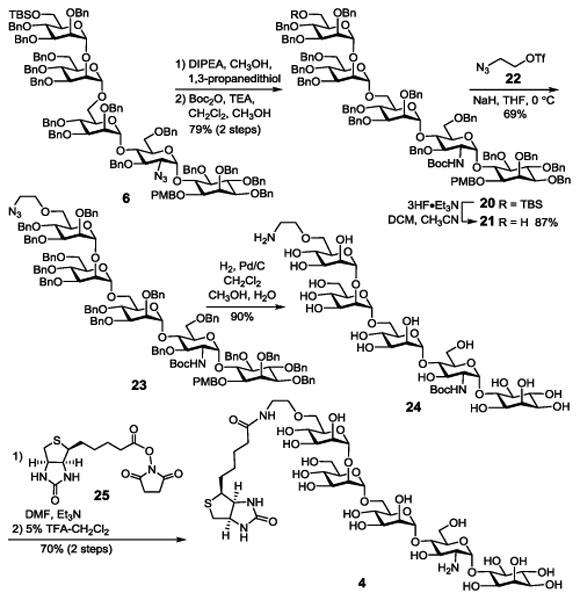 Scheme 3