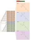 Fig. 5