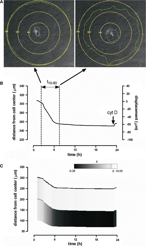 Fig. 2