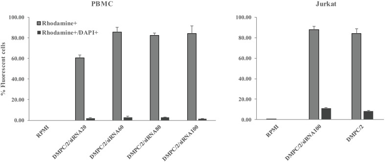 Fig 10