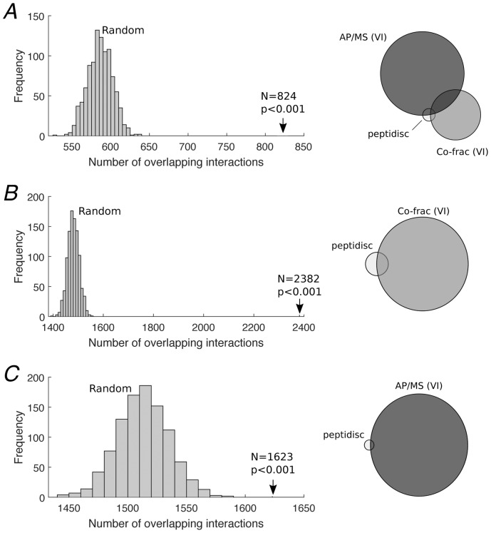 Figure 5—figure supplement 1.