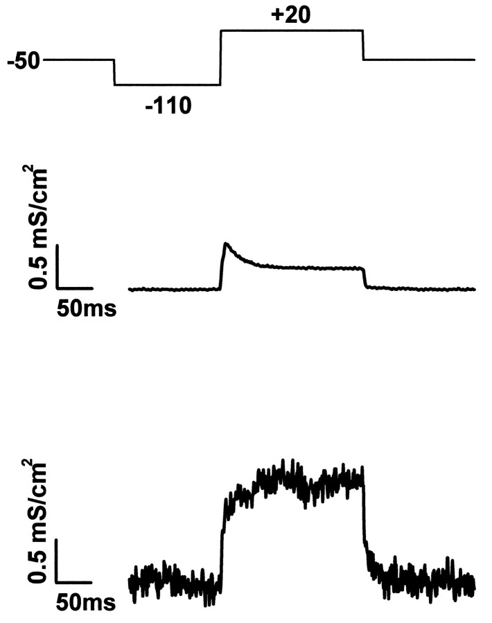 Fig. 5.