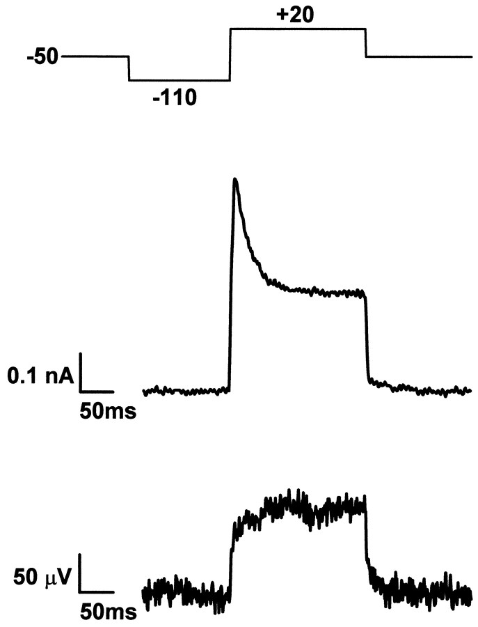 Fig. 3.