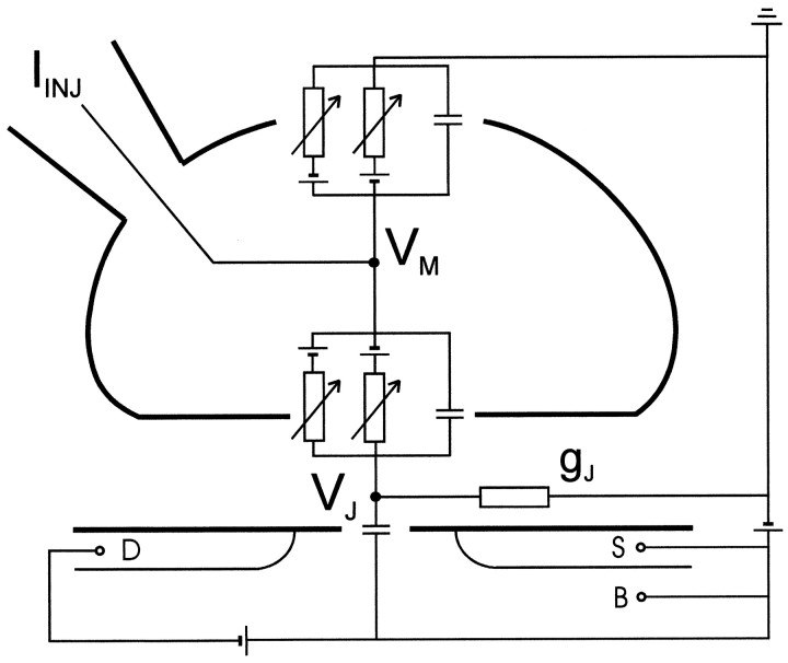 Fig. 1.