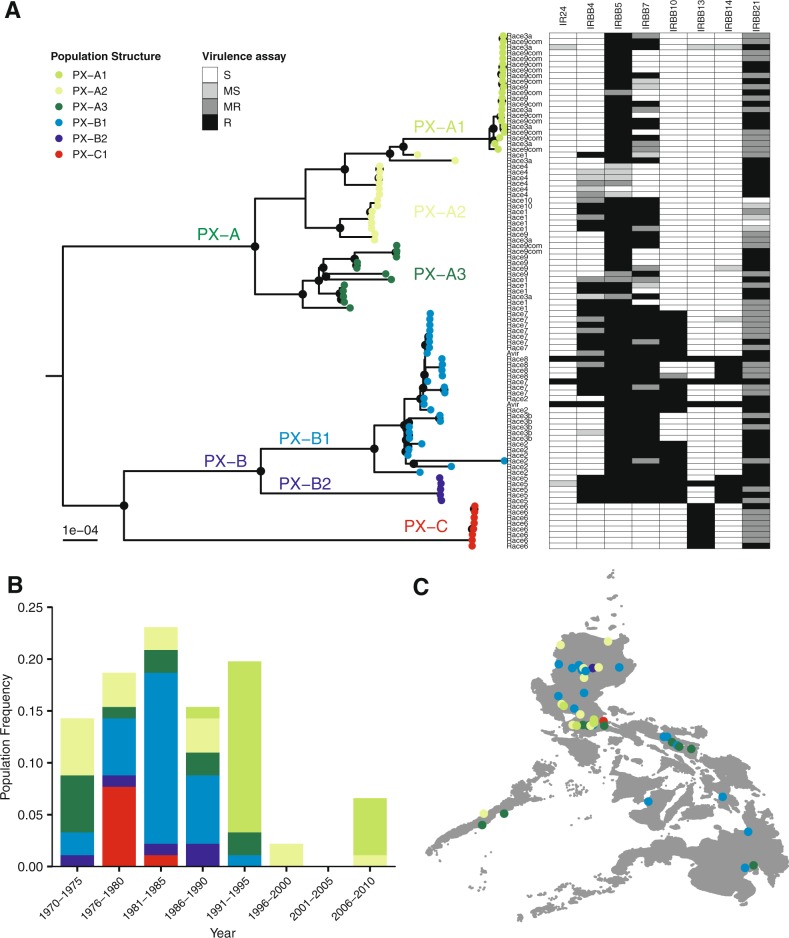 Fig. 2