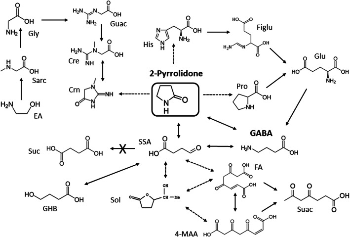 Fig. 8