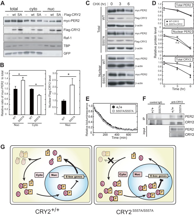 FIG 6