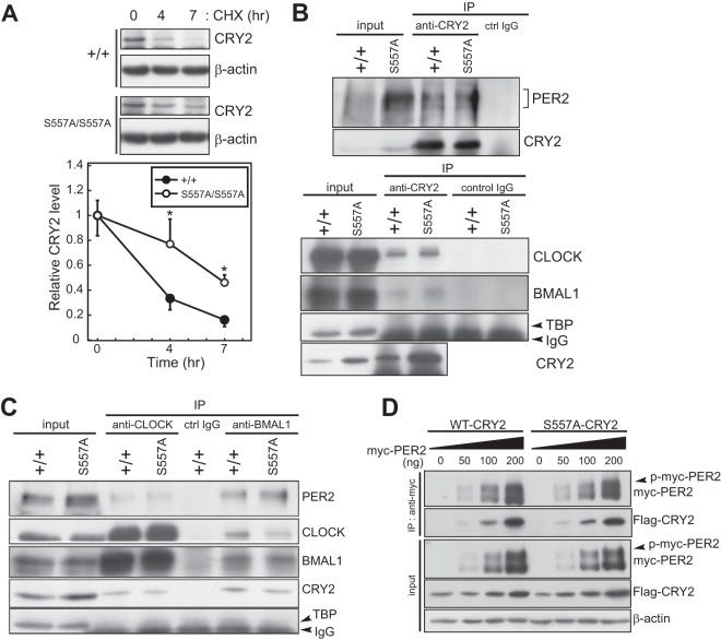 FIG 3