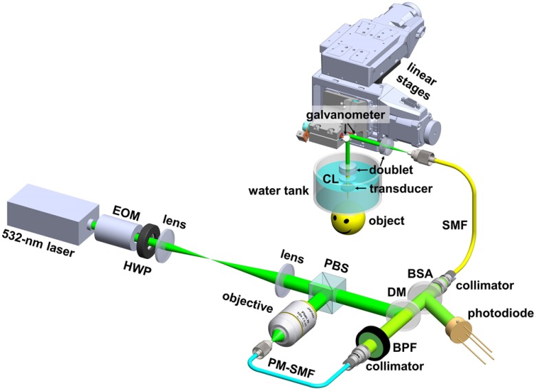 Fig. 1