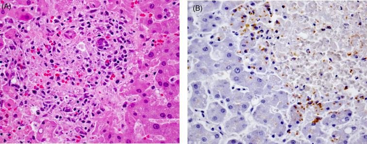 Figure 22.34