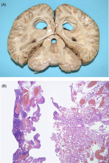 Figure 22.27