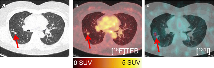 Fig. 5