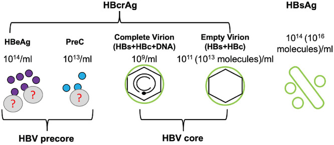 FIG 13