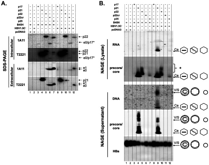 FIG 12