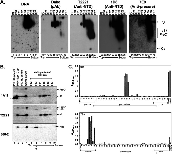 FIG 10